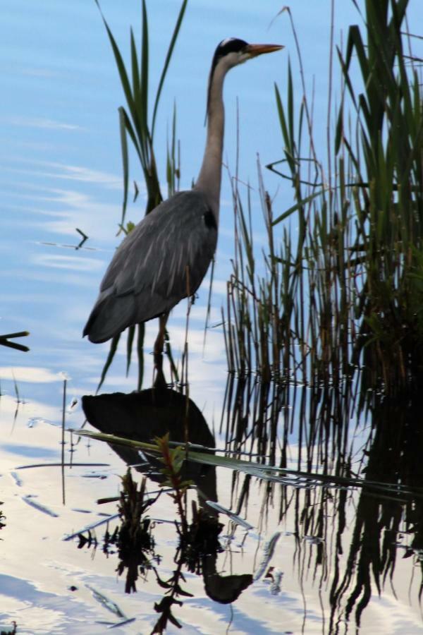 Marshlands Lakeside Nature Retreat Barton-upon-Humber Extérieur photo